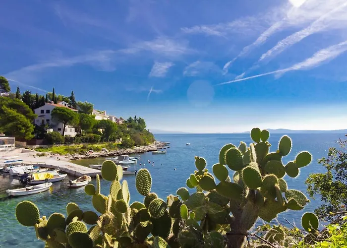 公寓 Suki 特罗吉尔